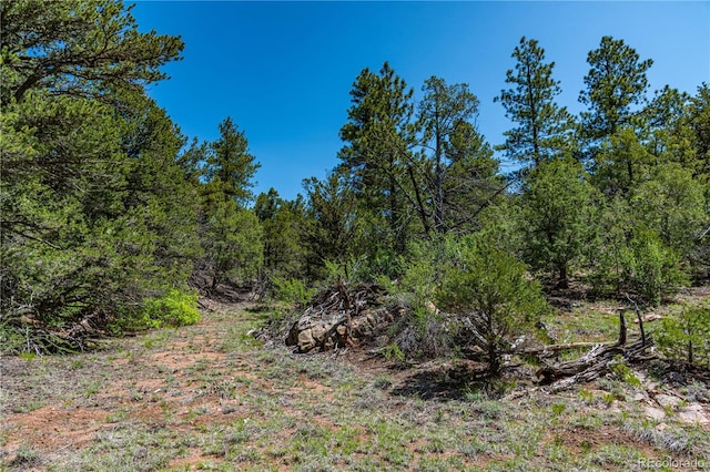 288 Bear Ln, Cotopaxi, CO 81223 - photo 21
