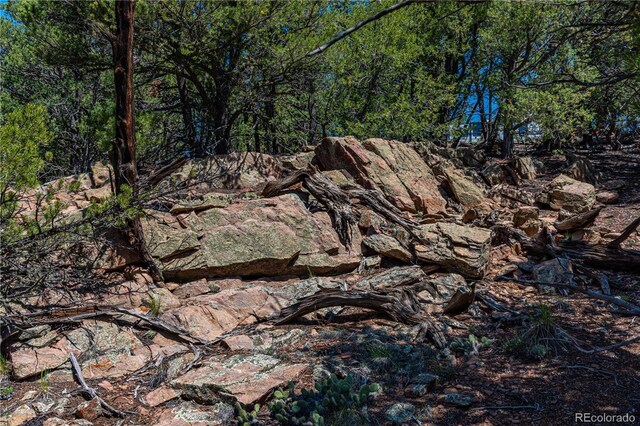 288 Bear Ln, Cotopaxi, CO 81223 - photo 23