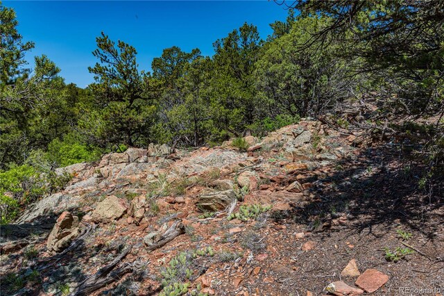 288 Bear Ln, Cotopaxi, CO 81223 - photo 24
