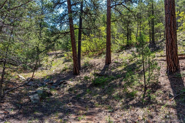 288 Bear Ln, Cotopaxi, CO 81223 - photo 25