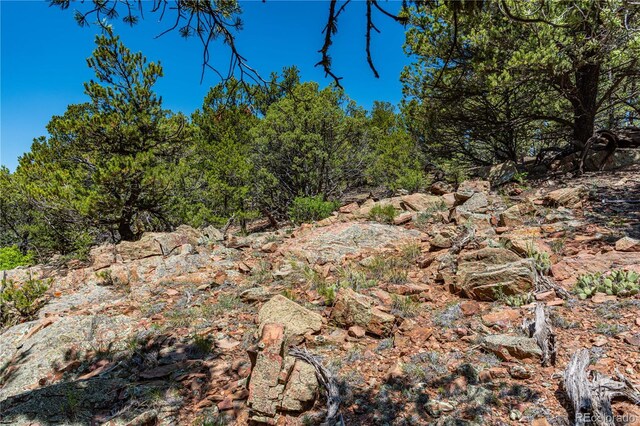 288 Bear Ln, Cotopaxi, CO 81223 - photo 26