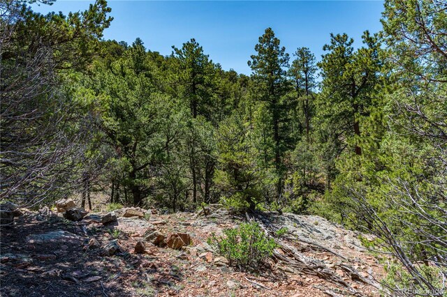 288 Bear Ln, Cotopaxi, CO 81223 - photo 27