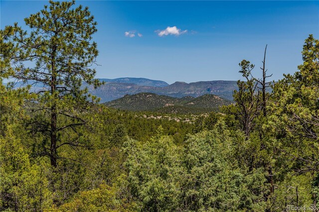 288 Bear Ln, Cotopaxi, CO 81223 - photo 28