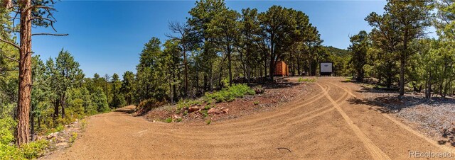 288 Bear Ln, Cotopaxi, CO 81223 - photo 29