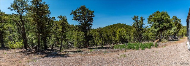 288 Bear Ln, Cotopaxi, CO 81223 - photo 30