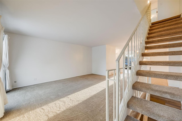 stairs with carpet floors