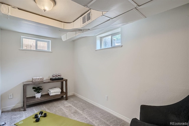 basement featuring light carpet