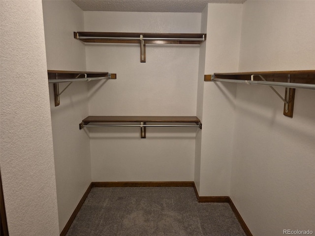 2477 S Oakland Cir, Aurora, CO 80014 - spacious closet featuring carpet