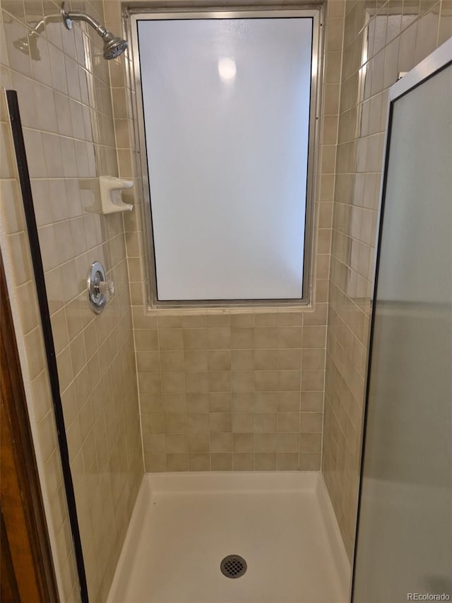 2477 S Oakland Cir, Aurora, CO 80014 - full bath with a stall shower