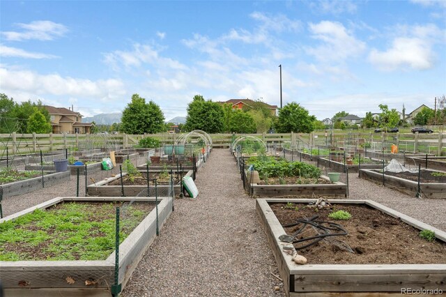 928 Cimarron Dr Unit C, Lafayette, CO 80026 - view of yard with a vegetable garden