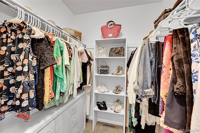 7064 E 2nd Ave, Denver, CO 80220 - view of walk in closet
