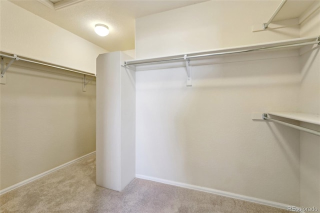 spacious closet with carpet