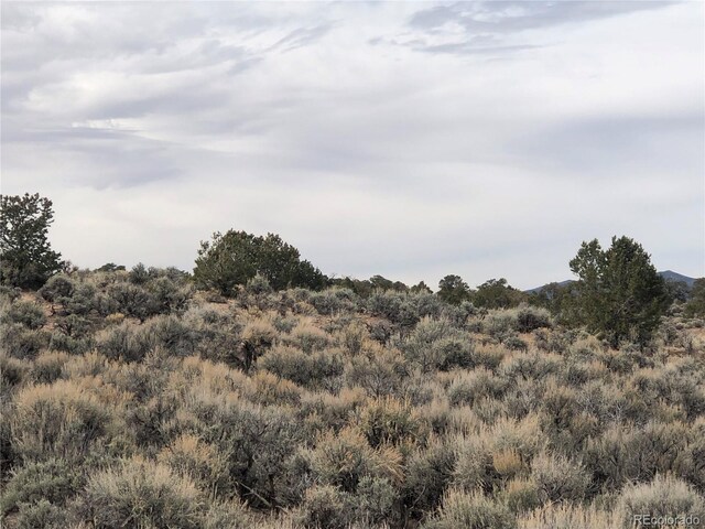 00 Freylinghuysen Ft, Garland, CO 81133 - photo 3