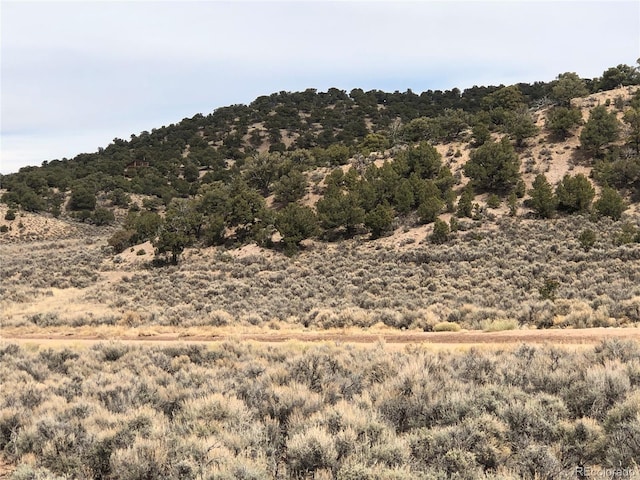 00 Freylinghuysen Ft, Garland, CO 81133 - photo 4