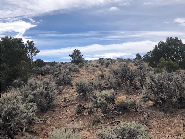 00 Freylinghuysen Ft, Garland, CO 81133 - photo 5