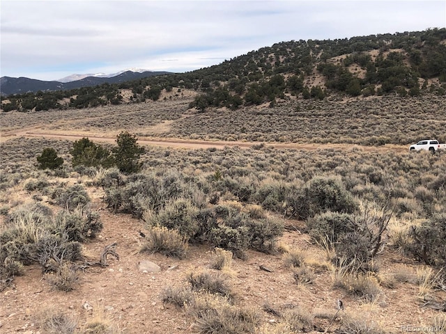 00 Freylinghuysen Ft, Garland, CO 81133 - photo 8