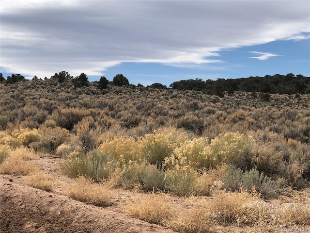 00 Freylinghuysen Ft, Garland, CO 81133 - photo 12