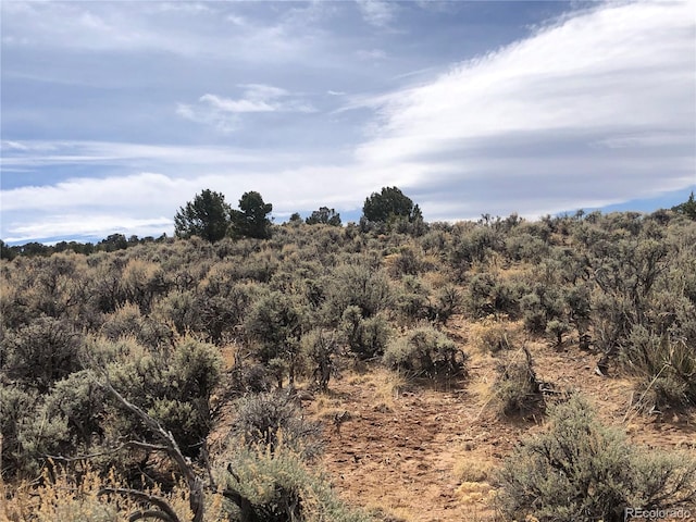 00 Freylinghuysen Ft, Garland, CO 81133 - photo 14