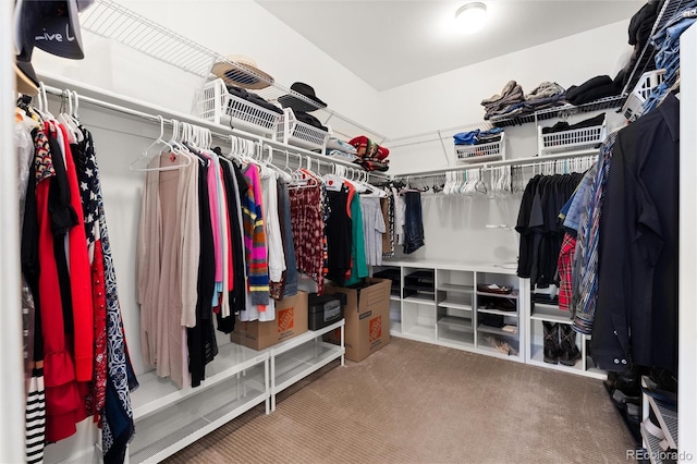 walk in closet with carpet floors