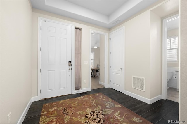 foyer with dark hardwood / wood-style flooring and a raised ceiling