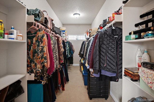 1073 W El Esperante Dr, Pueblo, CO 81007 - photo 29