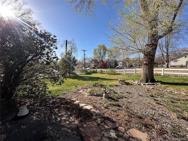 view of yard