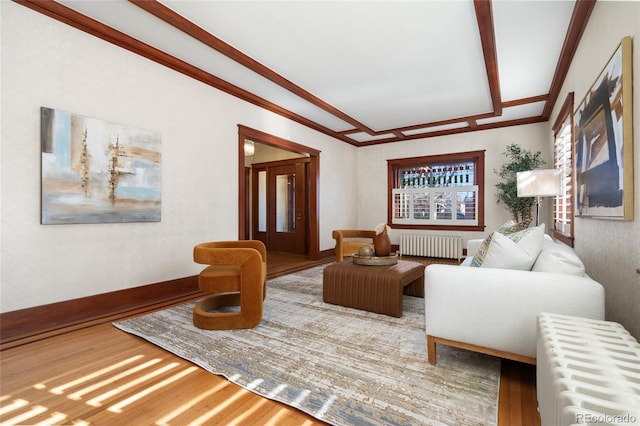 living room with radiator and wood-type flooring