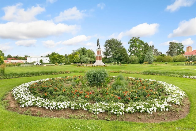 view of community featuring a yard