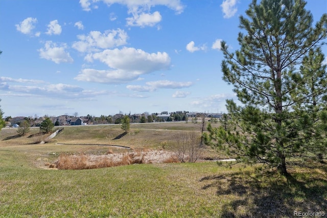 8714 E 148th Cir, Thornton, CO 80602 - view of yard