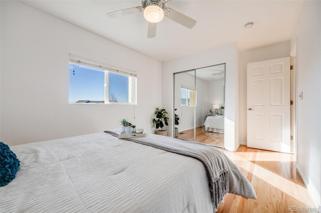 bedroom featuring ceiling fan, light hardwood / wood-style flooring, a closet, and multiple windows