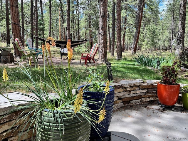 85 S Sherwood Gln, Monument, CO 80132 - view of yard