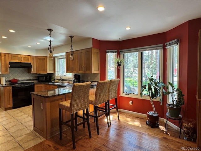 85 S Sherwood Gln, Monument, CO 80132 - kitchen with black appliances, under cabinet range hood, a sink, brown cabinetry, and a peninsula
