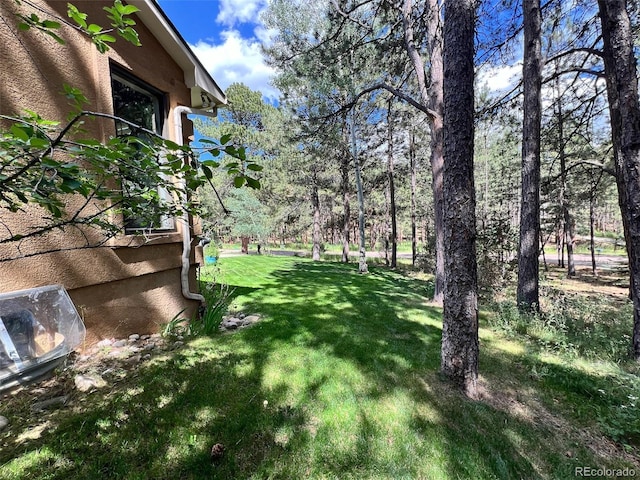 85 S Sherwood Gln, Monument, CO 80132 - view of green lawn