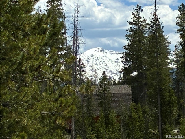 23976 County Rd 50, Fraser, CO 80442 - view of mountain backdrop