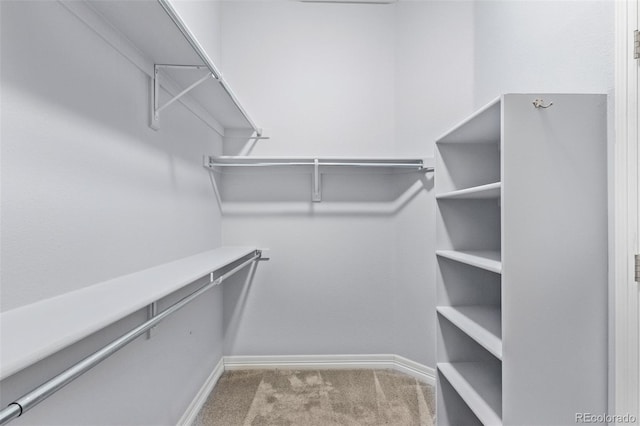 walk in closet featuring carpet floors