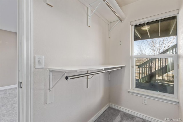 walk in closet with carpet floors