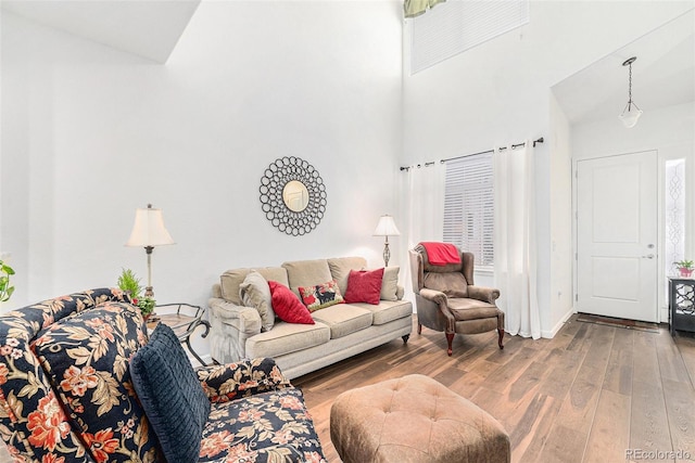 living room with hardwood / wood-style flooring