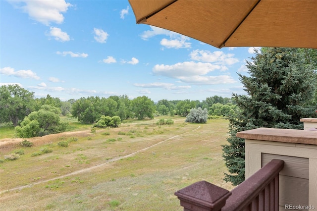 10618 Clarkeville Way, Parker, CO 80134 - photo 18