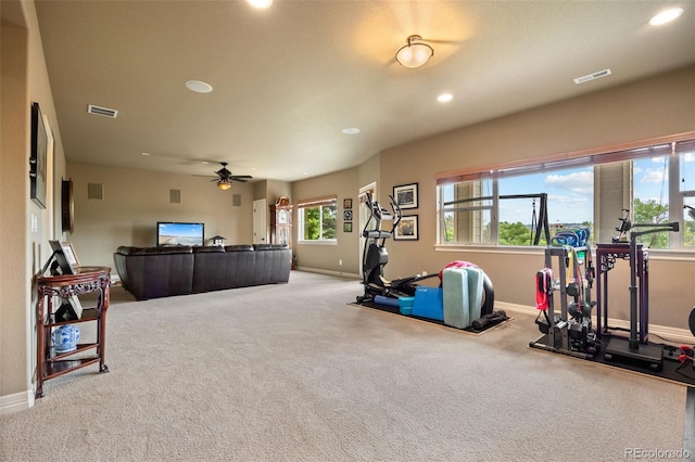 10618 Clarkeville Way, Parker, CO 80134 - photo 29
