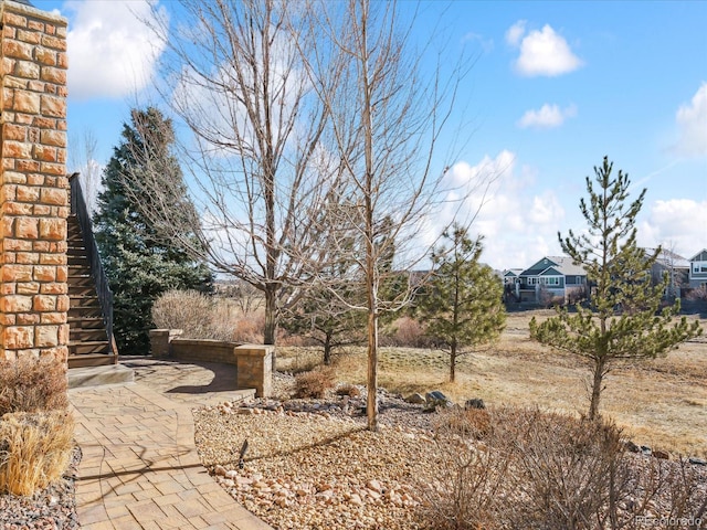 view of yard with a patio area