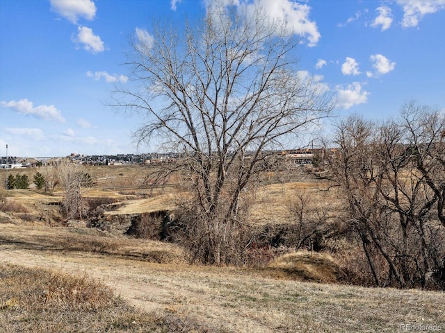 view of landscape