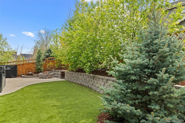 6827 Leilani Ln, Castle Rock, CO 80108 - view of yard with a patio area