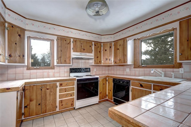 kitchen with electric stove, sink, black dishwasher, tile counters, and decorative backsplash