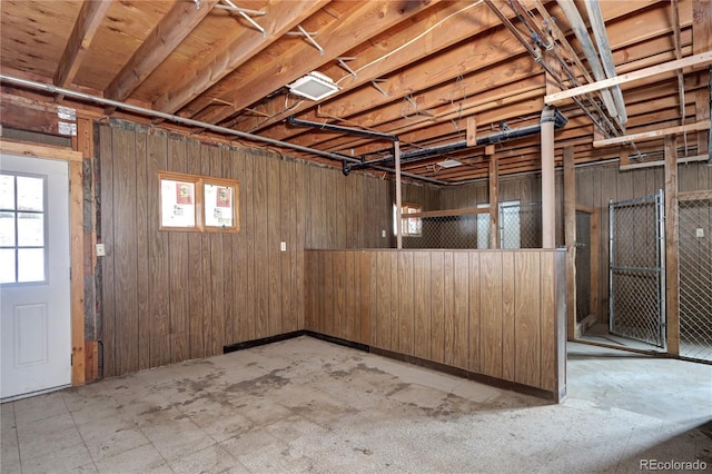 basement with plenty of natural light and wooden walls