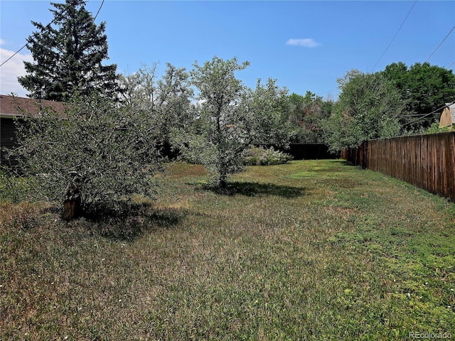 7620 Acoma Ct, Denver, CO 80221 - photo 21