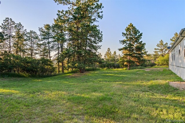 652 Verdos Dr, Elizabeth, CO 80107 - photo 39