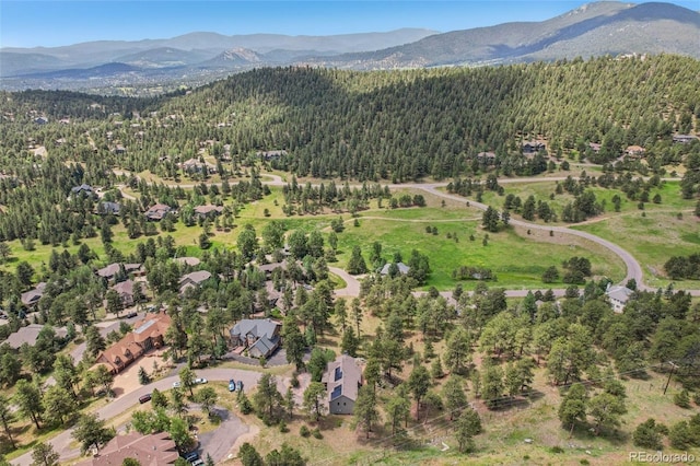 30206 Telluride Ln, Evergreen, CO 80439 - photo 42