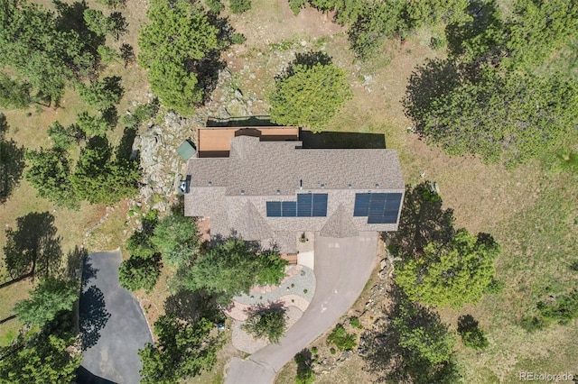 30206 Telluride Ln, Evergreen, CO 80439 - photo 44