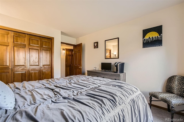 4951 S Ammons St, Littleton, CO 80123 - photo 19