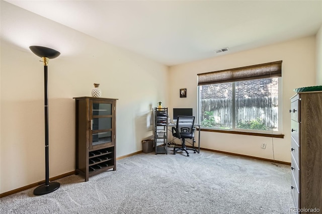 4951 S Ammons St, Littleton, CO 80123 - photo 20